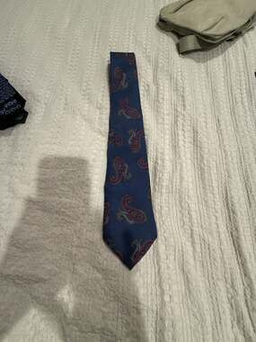 Robert Talbott Silk Tie Blue Paisley